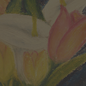 Pink Tulips